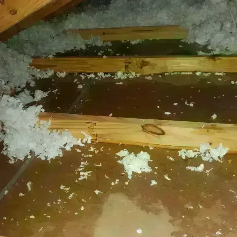 Attic Water Damage in Loa, UT